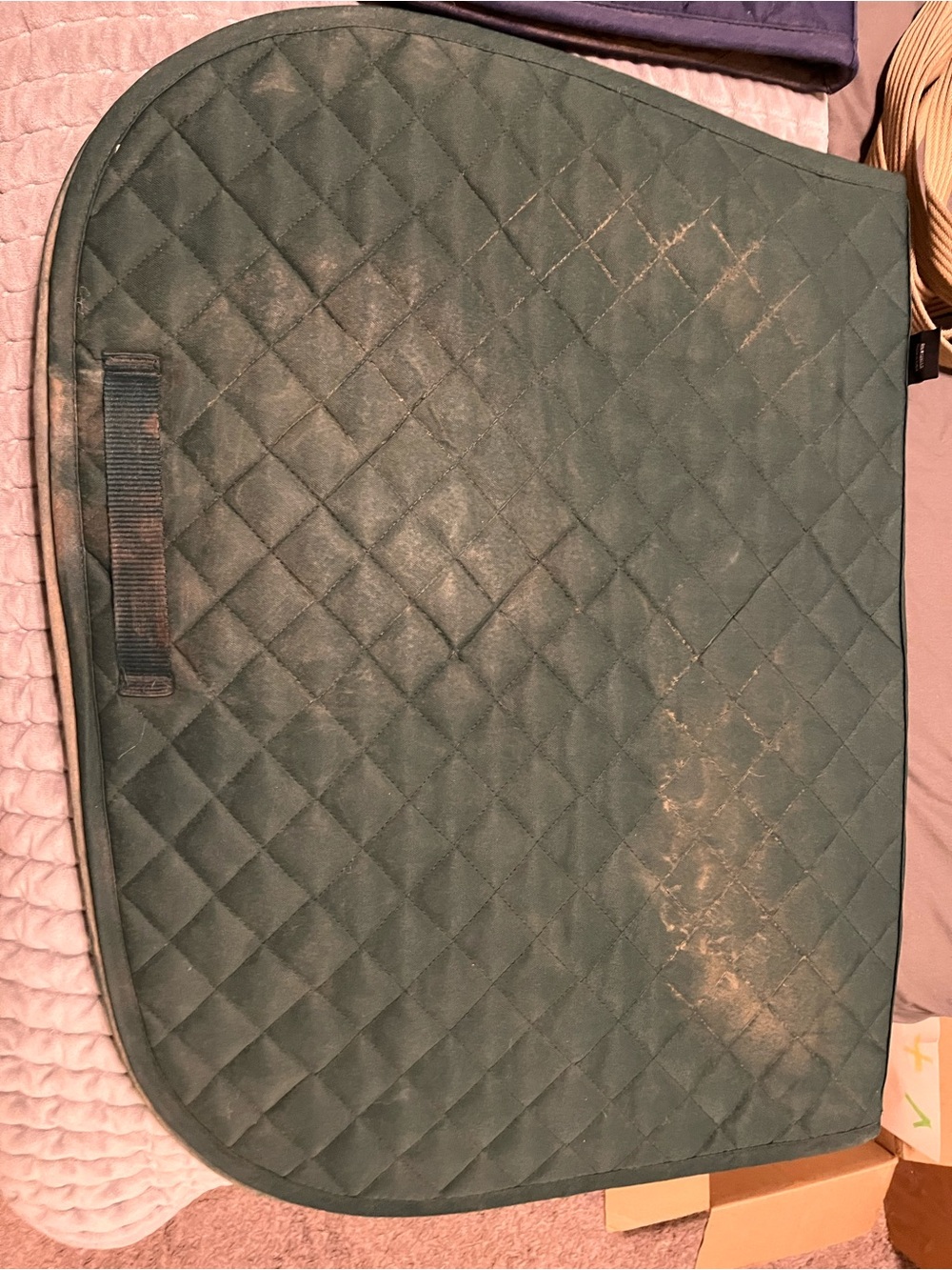Rider’s International All Purpose Horse Saddle Pad